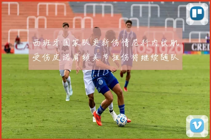 西班牙国家队更新伤情尼科内收肌受伤皮诺肩锁关节扭伤将继续随队训练