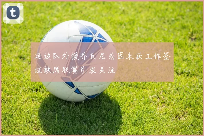 延边队外援乔瓦尼或因未获工作签证缺席联赛引发关注